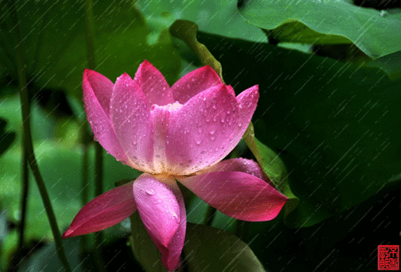 111111.gif 111111.gif